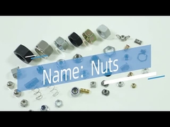 غاطسة رئيس سبائك الزنك الأثاث الجوز الصين المكسرات